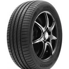 Däck ROADHOG RGHP02 225/55R17 101W XL