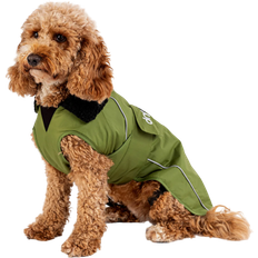Dog L