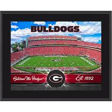 Fanatics Authentic Georgia Bulldogs 10.5" x 13" Sublimated Team Plaque