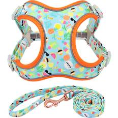 Pets Maxpower Flower Print Dog Harness Leash 43-51 cm - 099 Fruit