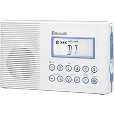Radios Sangean T53100 AM & FM Clock Radio