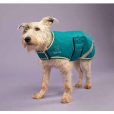 Pets Digby & Fox Waterproof Dog Coat - Teal (Medium)