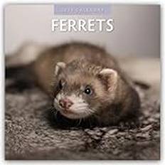 Ferrets Frettchen 2025 16 Monatskalender - Original Red Robin Publishing