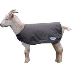 L Horse Rugs Weatherbeeta Goat Coat - Navy