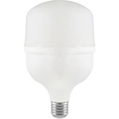 23570 LED Lamps 30 W E27