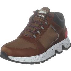 Sorel Chukka Wp Elk Sneakers - Brown