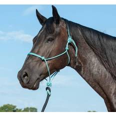 Turquoise Horse Halters Classic Equine Premium Rope Halter