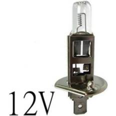 Bosma Billampa H1 100W 12V