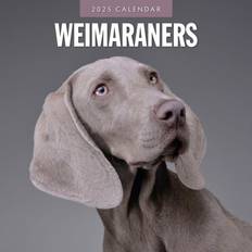 Red Calendars Weimaraners 305 x 305 mm