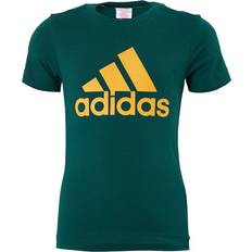 Oro Camisetas Essentials Big Logo Tee - Collegiate Green/Semi Solar Gold