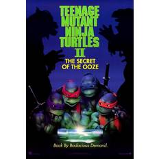 Interior Details Teenage Mutant Ninja Turtles 2 The Secret of the Ooze Print Poster