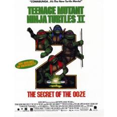 Interior Details Teenage Mutant Ninja Turtles 2 The Secret of the Ooze Poster