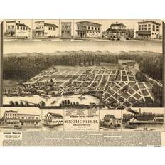 FSC (The Forest Stewardship Council) Posters Vintage Map of Snohomish Washington 1890 County Print Poster