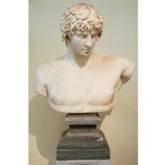 Posters Antinous Bust Statue Athens Greece Print 11 x 17 Poster