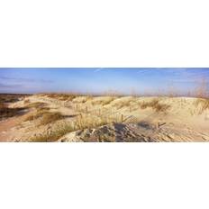 Posters Sand Dunes On The Beach 18 x 7 Poster