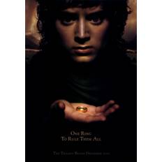 Interior Details Lord of the Rings 1 The Fellowship of the Ring Poster