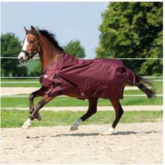 Couvertures pour Chevaux Kavalkade Couverture D'extérieur Alaska IV 300g - Rouge