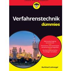 Verfahrenstechnik für dummies (Geheftet, 2021)