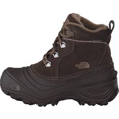 The North Face Youth Chilkat Lace II Boots - Demitasse Brown/Cub Brown