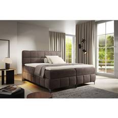 Continental Beds Fun-Möbel Boxspringbett Schlafzimmerbett 200x200 cm Stoff Salvador Schokobraun Continental Bed