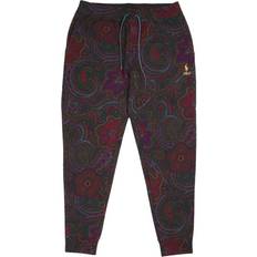 Polo Ralph Lauren Multifärgade Byxor & Shorts Polo Ralph Lauren Paisley Print Double-Knit Jogger Pant - Monivärinen