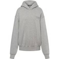 Di Lorenzo Serafini Sweathshirts Hoodies - Grå