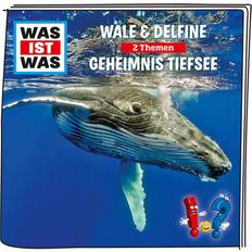 Tonies Was ist Was Wale und Delfine Geheimnis Tiefsee