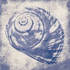 Gray Posters Shell Print 12 x 12 Poster