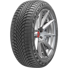 18 - 275 - Vinterdæk Bildæk Maxxis Premitra Snow WP6 275/40 R18 103V XL