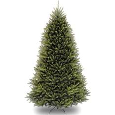 10ft christmas tree The Holiday Aisle Dunhill Fir Green Christmas Tree 119.7"