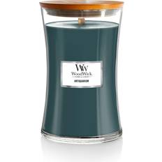 Ingefära Doftljus Woodwick Antiquarium Turquoise Doftljus 609g