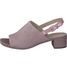 44 ½ Zapatillas Clarks Ivy - Nude Suede