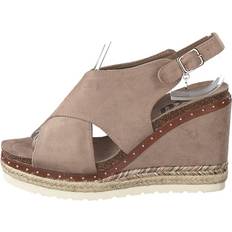 XTI 48920 - Taupe/Brun