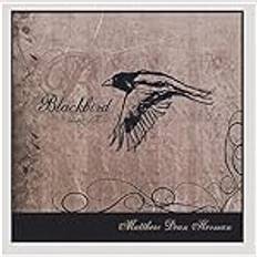 Blackbird (CD)