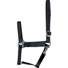 Halter For Economy - Noir
