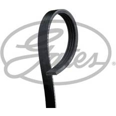 Gates Micro-V Kileribberem 4PK923
