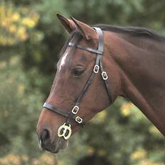 Velociti Gara Inhand Bridle - Black