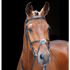 Equestrian Shires Salisbury Brackley Grackle Bridle - Black