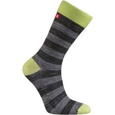 Bola Merino Liner Striped - Bola