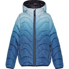 Molo Vindtäta Jackor Molo Hao Vadderad Jacka - Vibrant Blue