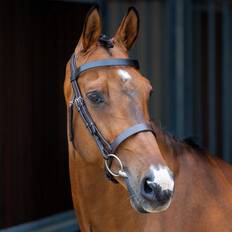 Lusso Hunter Cavesson Bridle - Pony