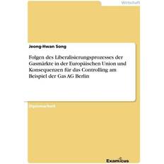 Folgen des Liberalisierungsprozesses der Gasmärkte in der Europäischen Union und Konsequenzen für das Controlling am Beispiel der Gas AG Berlin (Geheftet)