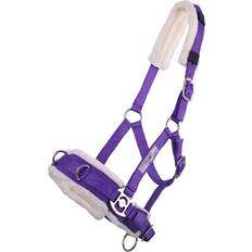 Violet Bottines pour chevaux QHP Caveçon Pour Cheval - Violet