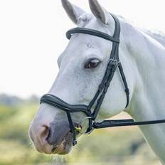 Equestrian Shires Rapida Ergonomic Flash Bridle - Black