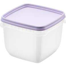 SmartStore Lavendelbox 0.75 L 12 x 12 x 9.5 cm Set of 4 Brotdose
