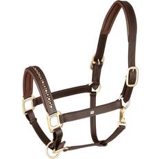 Rød Tøjler & Tilbehør Waldhausen Leather Halter For Foals Crystal - Marron