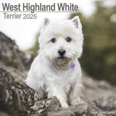 Avonside 2025 West Highland Terrier Dog Wall Calendar