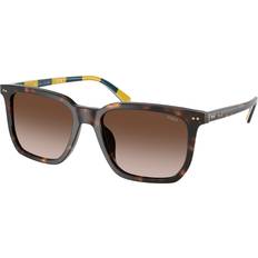 Polo Ralph Lauren Adult Sunglasses Polo Ralph Lauren Sunglasses Polo Ralph Lauren Ph4224u - Uomo Squadrata