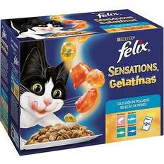 Pets Felix Purina Multipack Sensations 12 x 85 gr