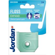 Floss Expand Mint